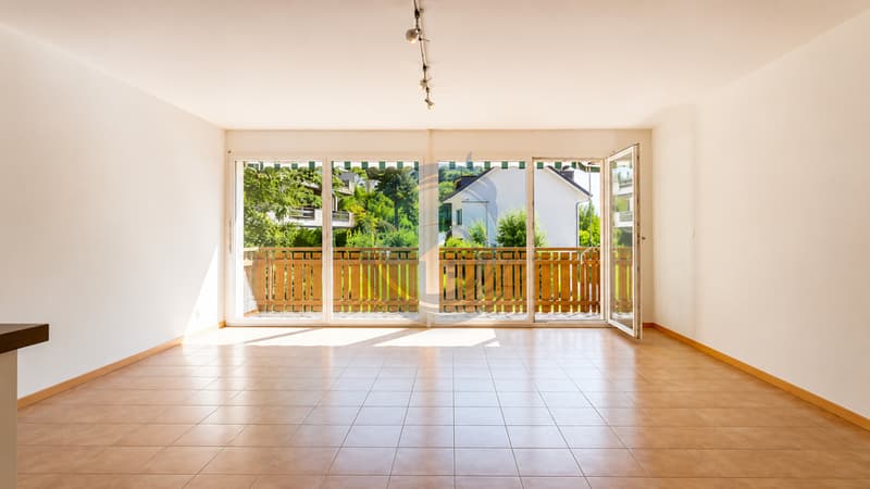 BEL APPARTEMENT TRAVERSANT DE 3,5 PIÈCES AVEC BALCON (6)