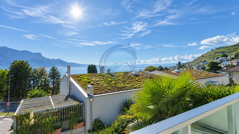 VILLA JUMELÉE AVEC VUE PANORAMIQUE SUR LE LAC ET JARDIN PRIVATIF (11)