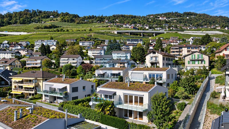 VILLA JUMELÉE AVEC VUE PANORAMIQUE SUR LE LAC ET JARDIN PRIVATIF (2)