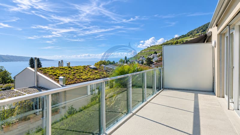 VILLA JUMELÉE AVEC VUE PANORAMIQUE SUR LE LAC ET JARDIN PRIVATIF (12)