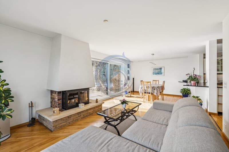 MAGNIFIQUE APPARTEMENT DE 6,5 PIÈCES AVEC TERRASSE ET JARDIN (2)