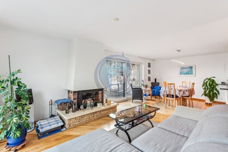 MAGNIFIQUE APPARTEMENT DE 6,5 PIÈCES AVEC TERRASSE ET JARDIN (11)