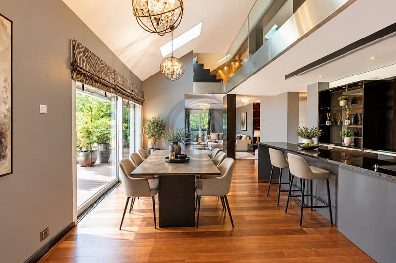 SOMPTUEUX APPARTEMENT EN DUPLEX DE 5.5 PIÈCES AVEC VUE SUR LE LAC (5)