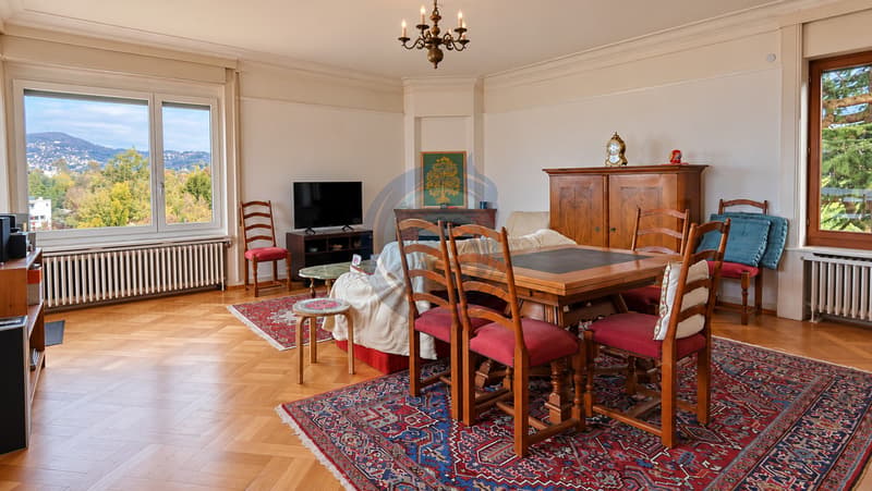 SPACIEUX APPARTEMENT DE 4,5 PIÈCES AVEC VUE PANORAMIQUE SUR LE LAC (2)