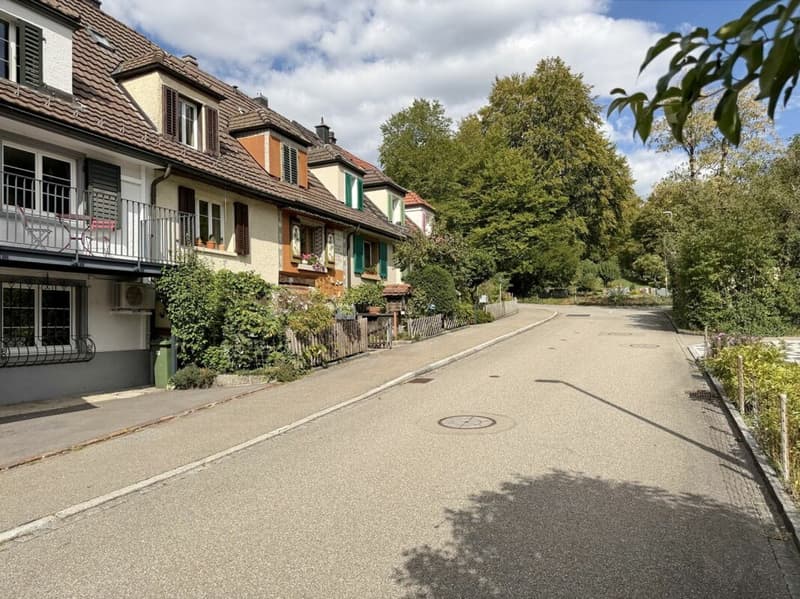 Malerische Anfahrt auf der Trottenstrasse