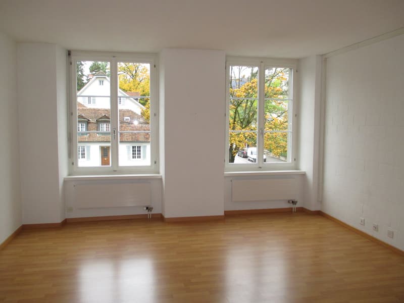 Gemütliche Altbau-Wohnung in Solothurn zu vermieten (2)