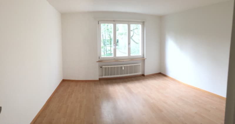 empty room, white walls, wooden floor, window with white frame