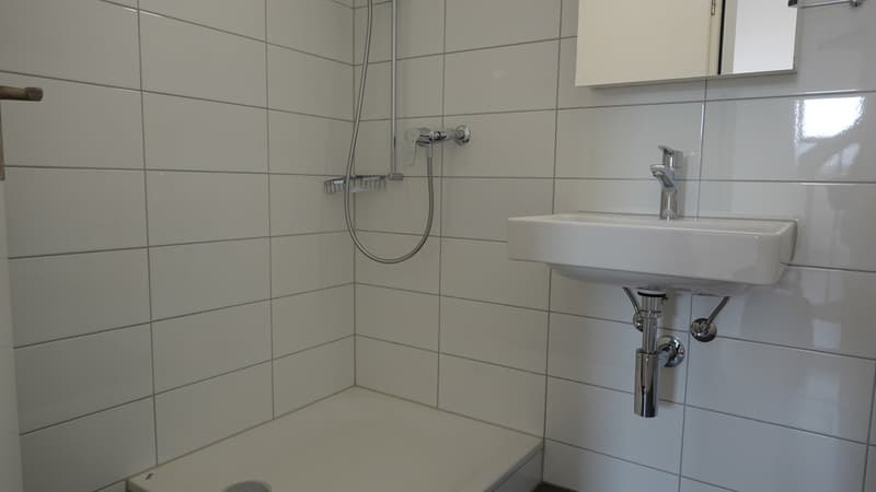 Gemütliche Maisonette Whg. mit Balkon + eigenem WM/TU - zentrale Stadtlage - (8)