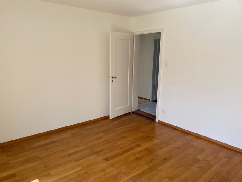 Bello, luminoso e tranquillo appartamento di 3 camere (8)
