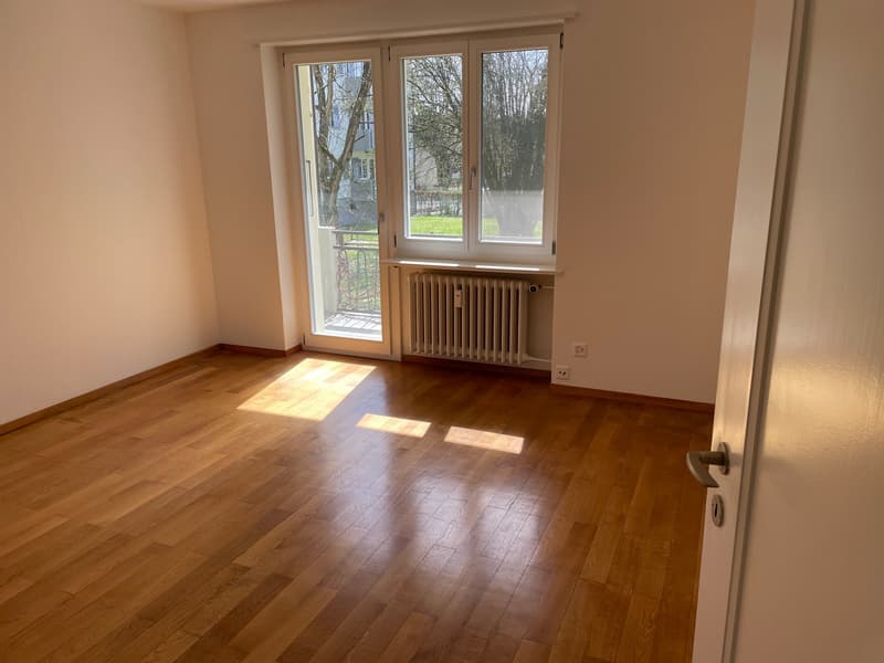 Bello, luminoso e tranquillo appartamento di 3 camere (7)