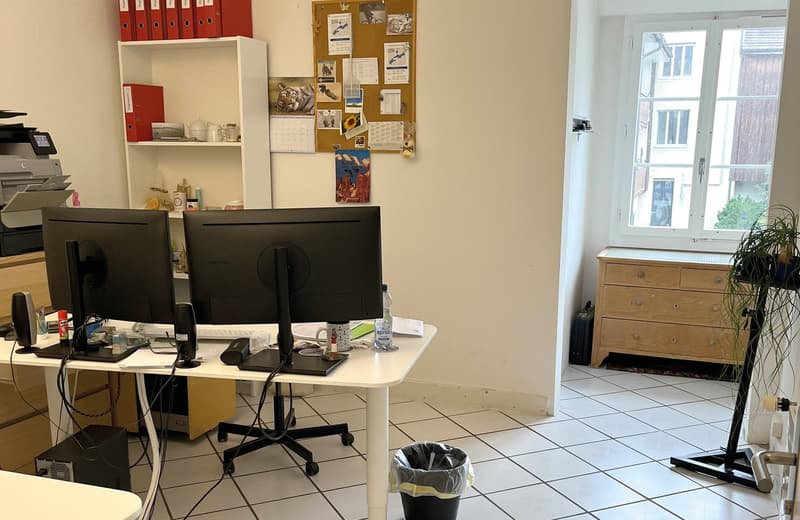 Charmante 4-Zimmer-Altbauwohnung im 1. OG in Solothurn (5)