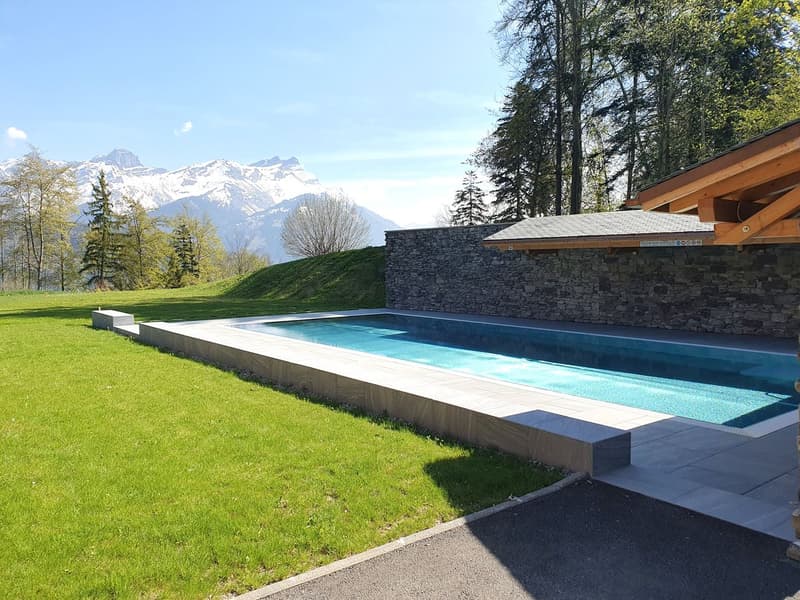 Prächtige 6.5-Zimmer-Duplexwohnung mit SPA und Pool (11)
