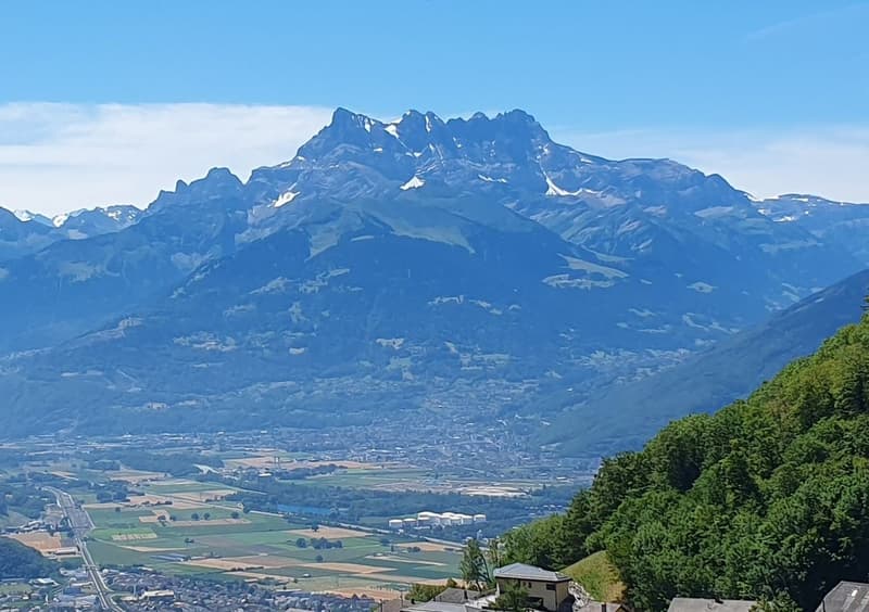 Magnifique chalet et grand terrain - vue sur les Dents du Midi (3)