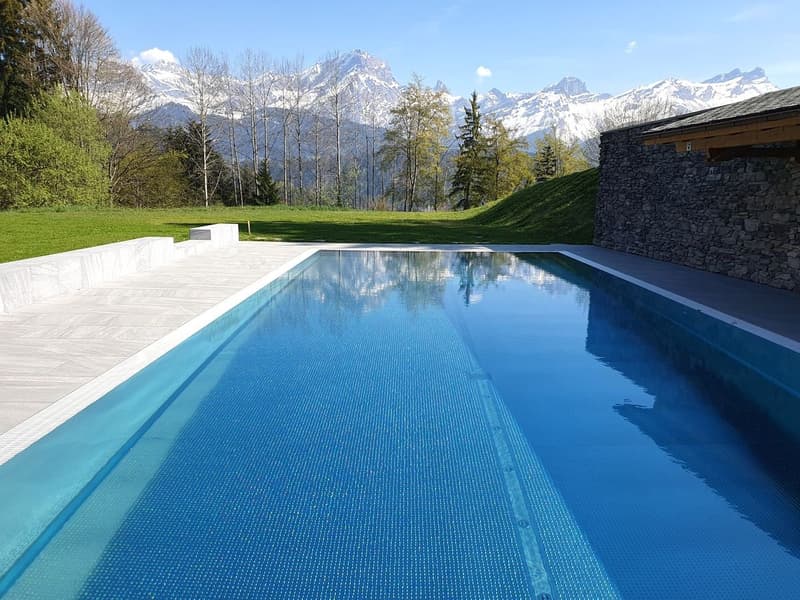 Magnifico appartamento in duplex di 6.5 locali con SPA e piscina (3)