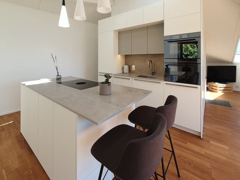 Superbe attique de 3.5 pièces avec balcon sud (3)