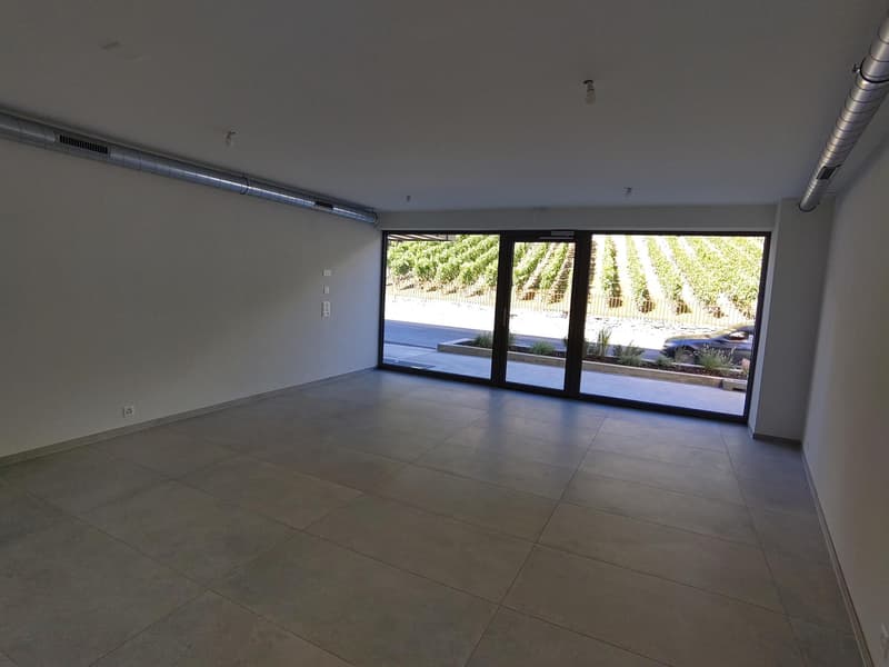 Commercial space for investors (4)