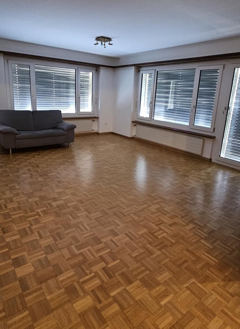 À louer, VS - appartement spacieux de 5,5 pièces avec boîte de garage (7)