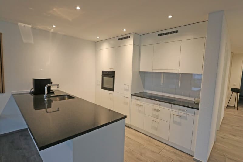Appartement spacieux 4.5 pièces avec vitrage de balcon (4)