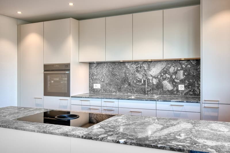 Nuova Costruzione - Appartamento 3.5 Locali con 310 m2 di Giardino (2)