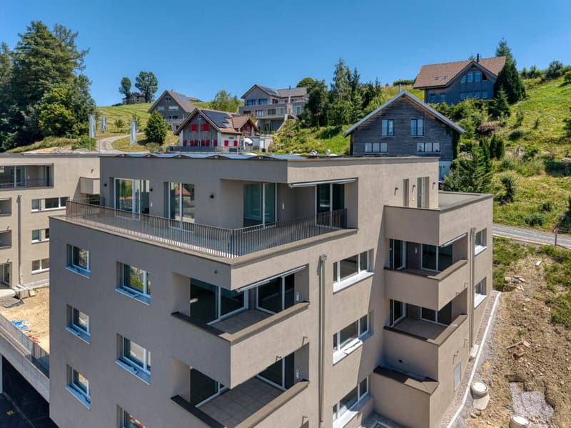 Construction neuve - Appartement attique exclusif 4.5 pièces avec terrasse spacieuse et belle vue (12)