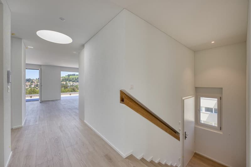 Construction neuve - Appartement attique exclusif 4.5 pièces avec terrasse spacieuse et belle vue (6)