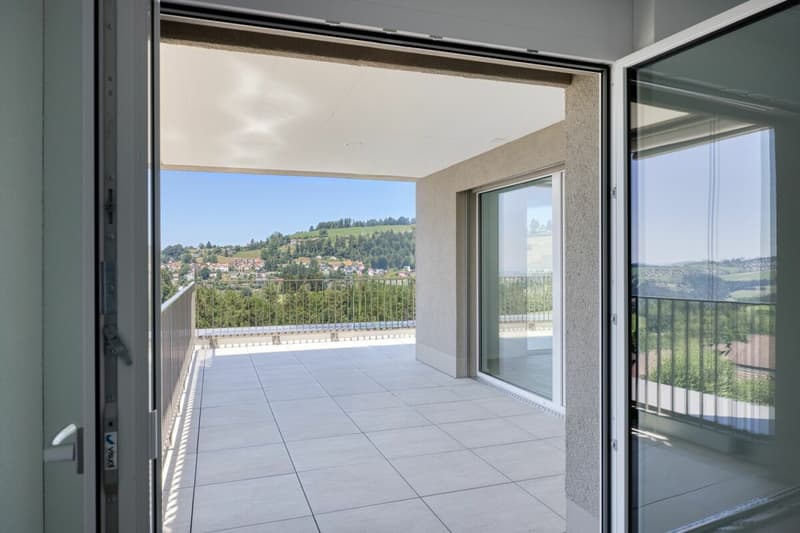 Construction neuve - Appartement attique exclusif 4.5 pièces avec terrasse spacieuse et belle vue (2)