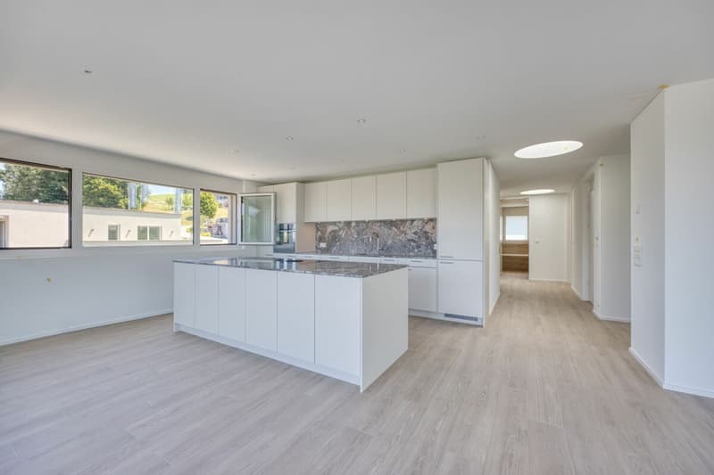 NEUBAU - Exklusive 4.5-Zimmer-Attikawohnung mit grosszügiger Terrasse und traumhafter Aussicht (3)