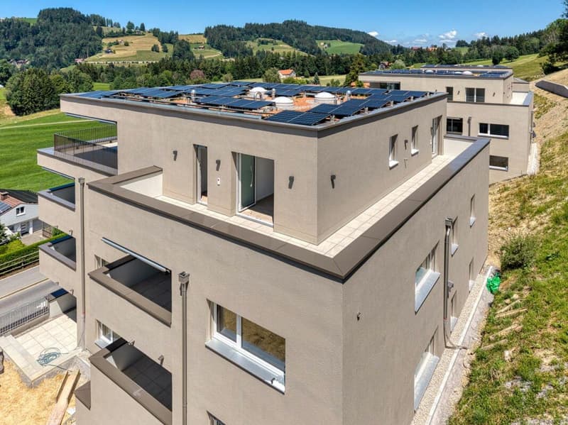 NEUBAU - Exklusive 4.5-Zimmer-Attikawohnung mit grosszügiger Terrasse und traumhafter Aussicht (10)
