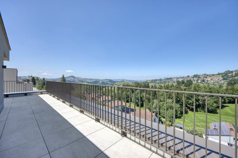 NEUBAU - Exklusive 4.5-Zimmer-Attikawohnung mit grosszügiger Terrasse und traumhafter Aussicht (1)