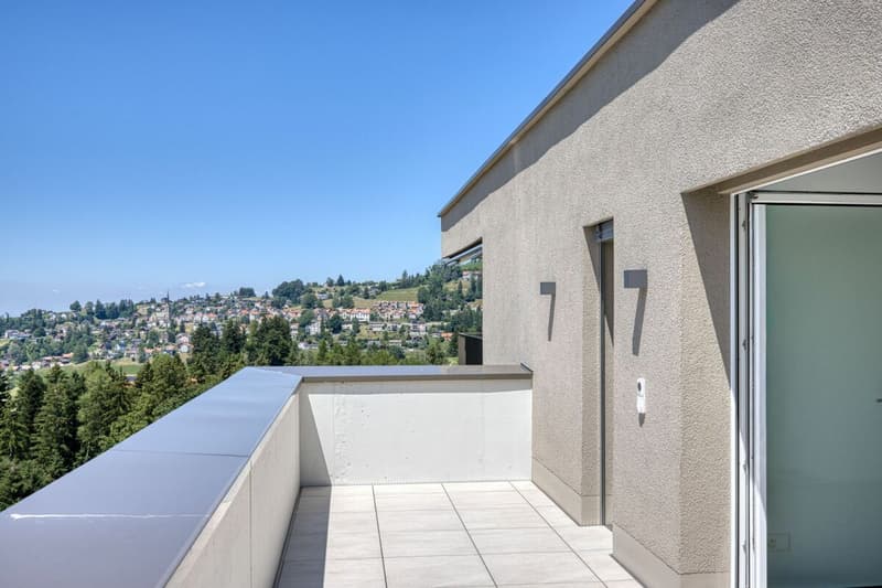NEUBAU - Exklusive 4.5-Zimmer-Attikawohnung mit grosszügiger Terrasse und traumhafter Aussicht (8)