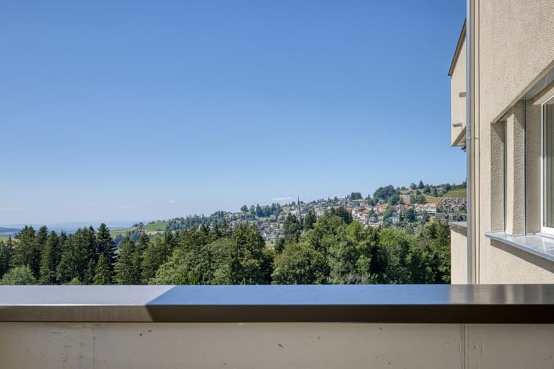 Construction neuve - Appartement 4.5 pièces avec vue de rêve (1)