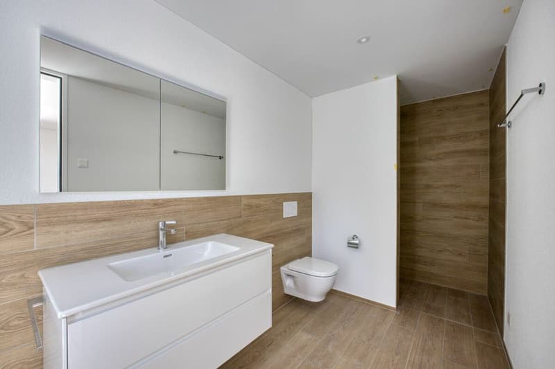 Construction neuve - Appartement 4.5 pièces avec vue de rêve (4)