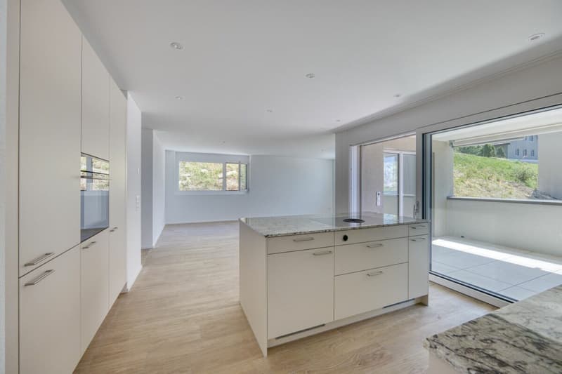 Construction neuve - Appartement 4.5 pièces avec vue de rêve (3)