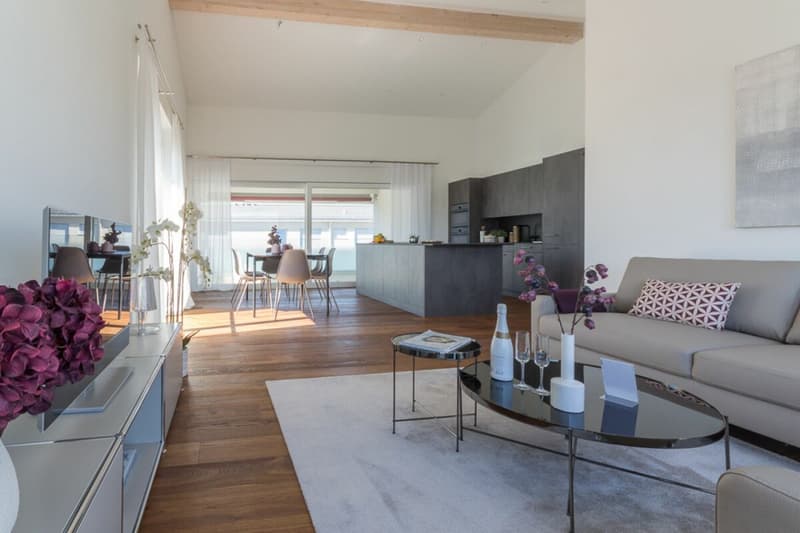 ERSTBEZUG - Stylische 4.5-Zimmer-Attikawohnung (1)