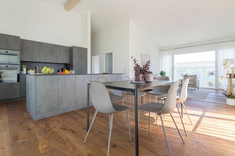ERSTBEZUG - Stylische 4.5-Zimmer-Attikawohnung (2)