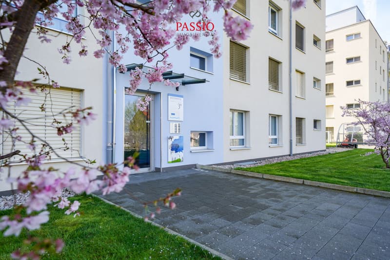 Neuwertige 5.5-Zimmer-Wohnung in Avenches: Moderner Komfort, Grosszügiger Grundriss und Idyllische Lage (2)