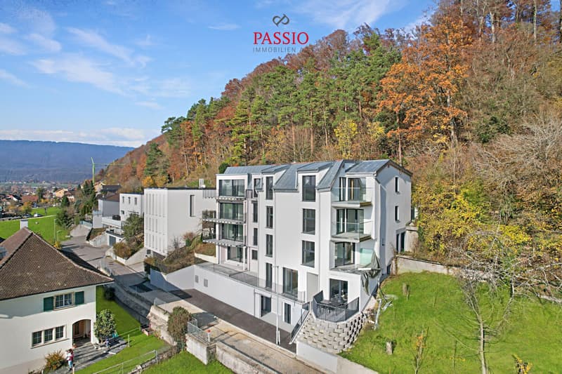 Habitation moderne avec vue panoramique : Appartement neuf de 2.5 pièces à Gampelen (13)
