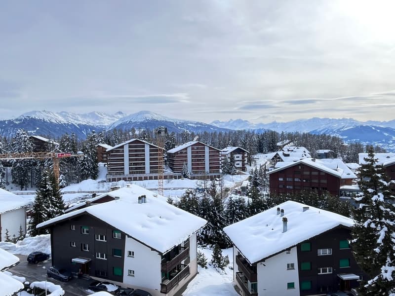 Plein Sud, 4.5 pièces, 5ème étage, dernier étage (11)