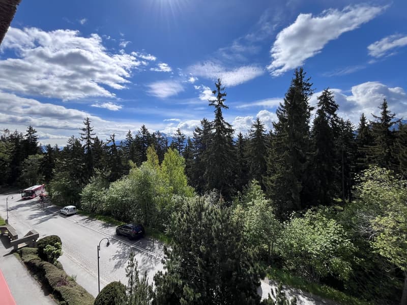 Crans-Forest B, 3.5 rooms, 2nd floor (10)