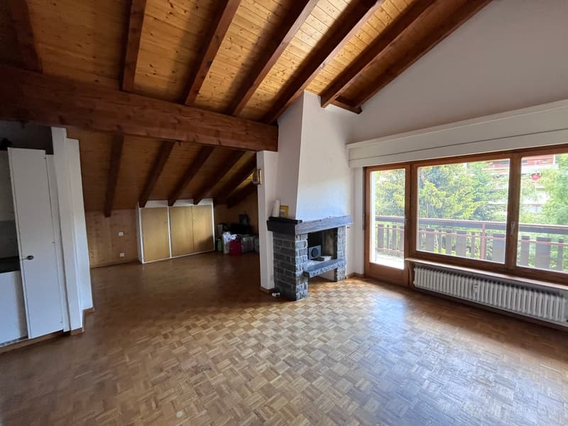 Petit-Vallon B, studio, combles (2)