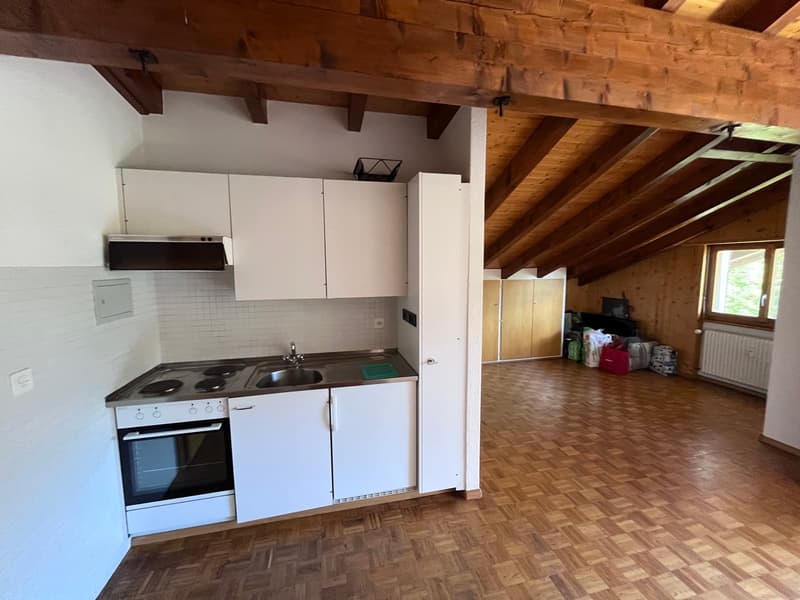 Petit-Vallon B, studio, combles (4)