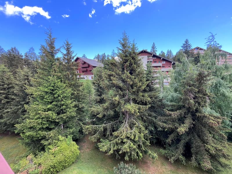 Petit-Vallon B, studio, combles (9)