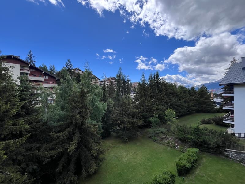 Petit-Vallon B, studio, combles (10)