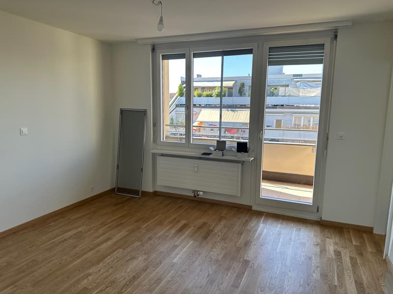 First-time rental: Freshly renovated 6.5-room maisonette apartment with two terraces (12)