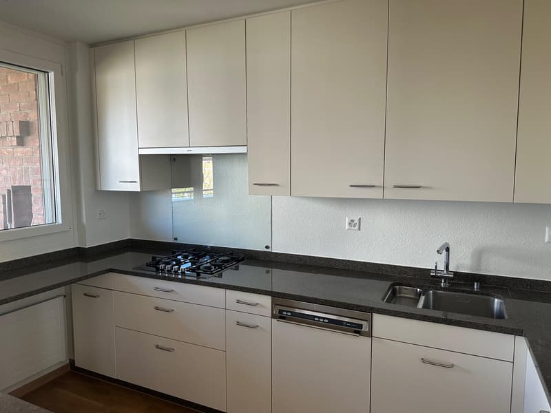 First-time rental: Freshly renovated 6.5-room maisonette apartment with two terraces (6)