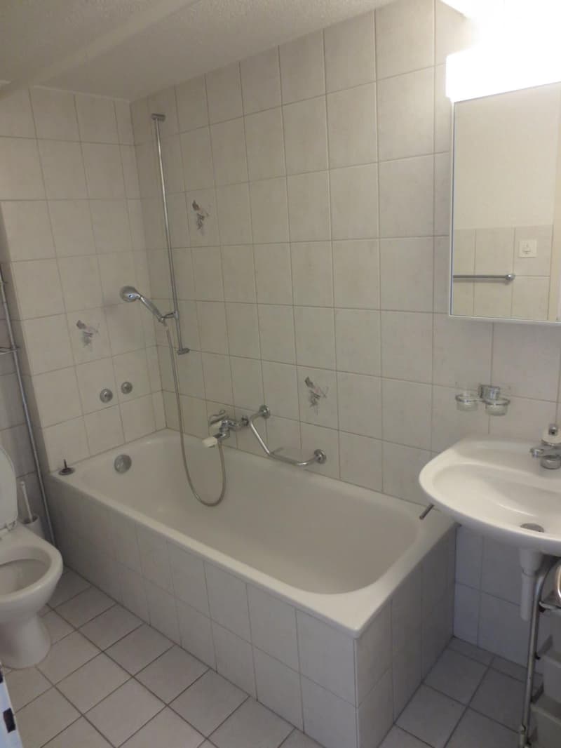Appartement 2 pièces lumineux dans le quartier de Gundeli (9)