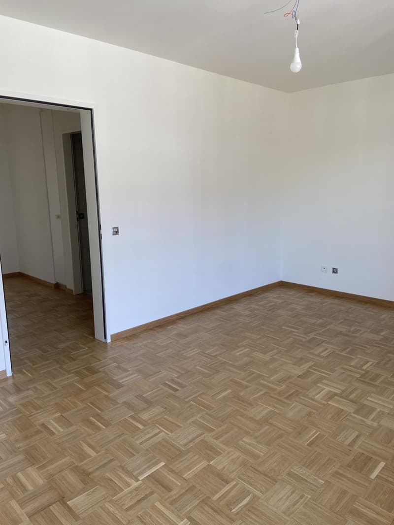 Appartamento in attico nel cuore di Basilea ? soleggiato, moderno & elegante (10)