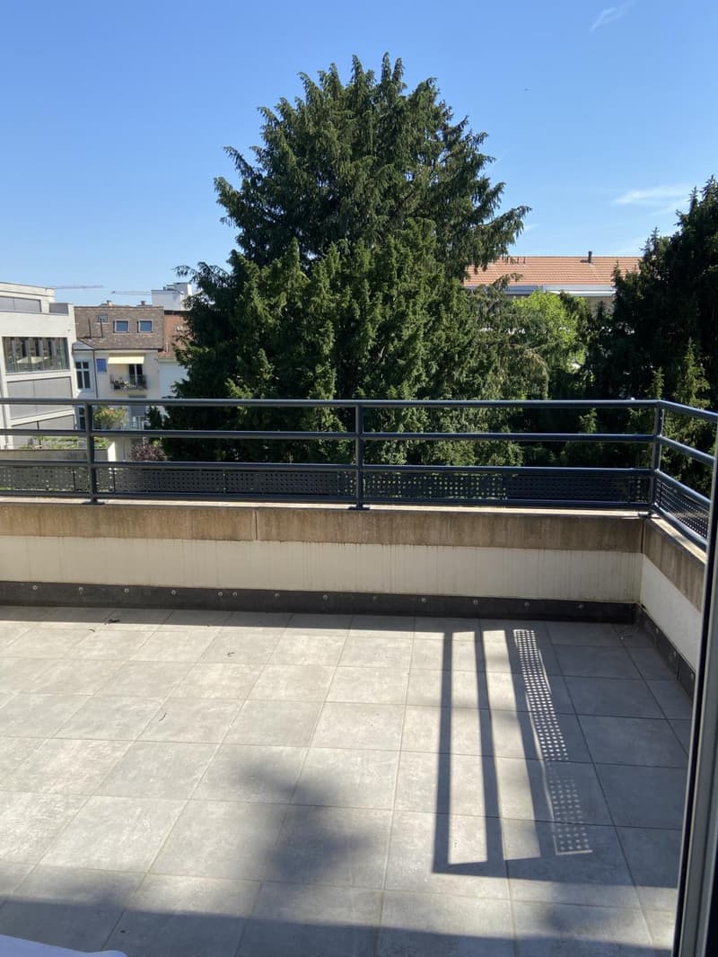 Appartamento in attico nel cuore di Basilea ? soleggiato, moderno & elegante (2)
