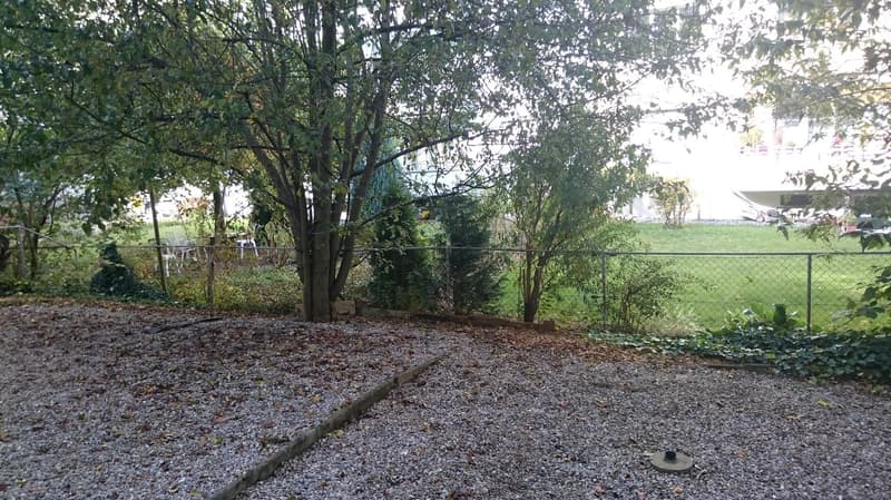 Charmante 4-Zimmer-Altbauwohnung im Hochparterre in Bern-Breitenrain (14)