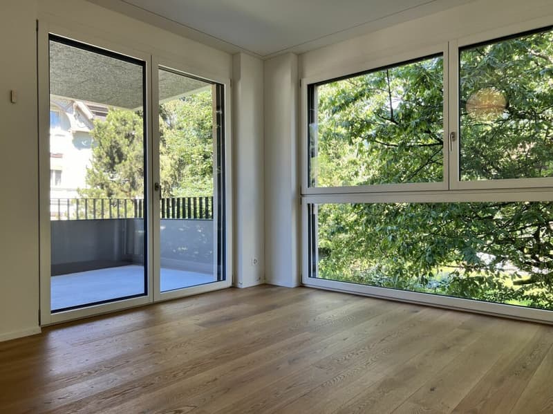 Appartamento 4½ locali 1° piano Sud-Ovest (9)